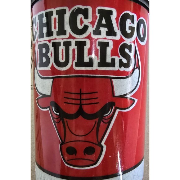 Vtg Chicago Bulls Scottie Pippen 1990's Lg Poster, Travel Mug, & SkyBox Card #46 - Picture 8 of 16